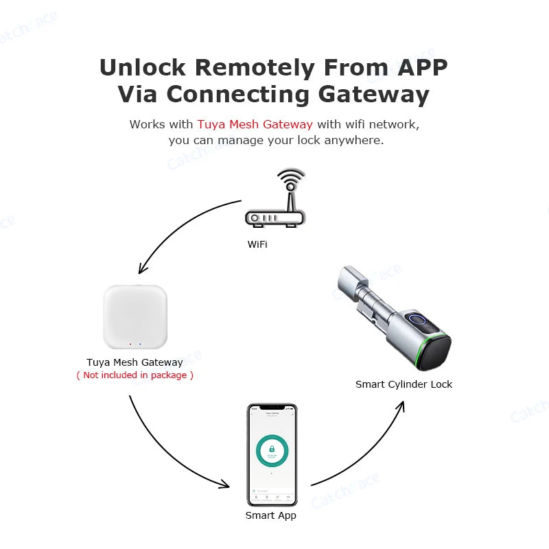 Euro Tuya TTLock APP Fingerprint RFID Card DIY Cylinder Lock Biometric Electronic Smart Door Lock Digital Keyless Replace